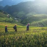 exploring banaue s ancient wonders
