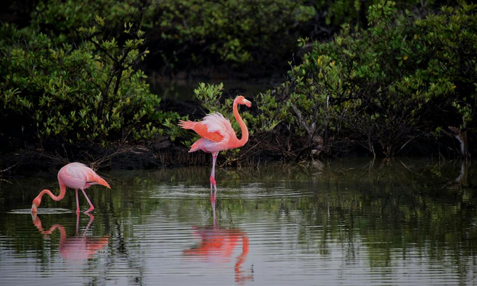 exploring agusan marsh wildlife
