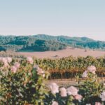 exploring mount makiling s flora