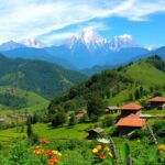 mountain biodiversity and heritage