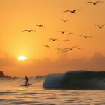 surfing and island life