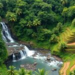 forest conservation enhances watershed management