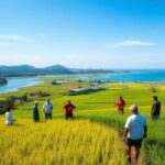 stakeholder engagement enhances resource management