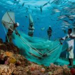 sustainable fishing protects resources