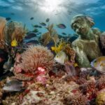 dumaguete dive spot guide